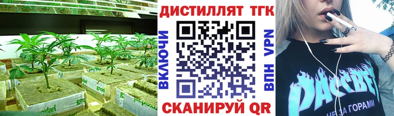закладка  Долгопрудный  ТГК Wax 